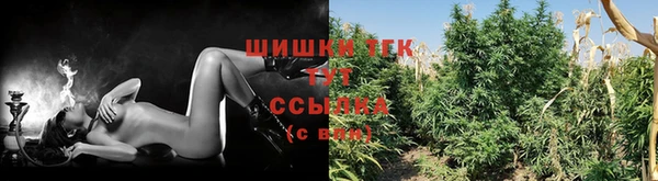 героин Алзамай