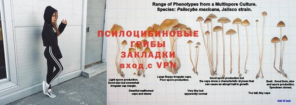 героин Алзамай