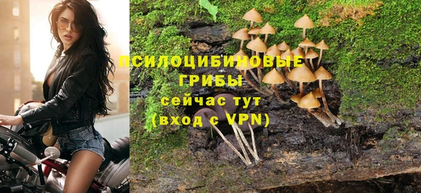 героин Алзамай