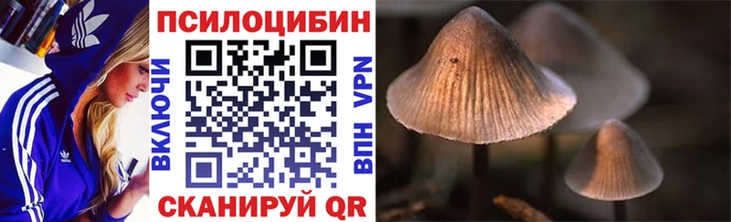 блэк спрут tor  Комсомольск  Псилоцибиновые грибы Cubensis 